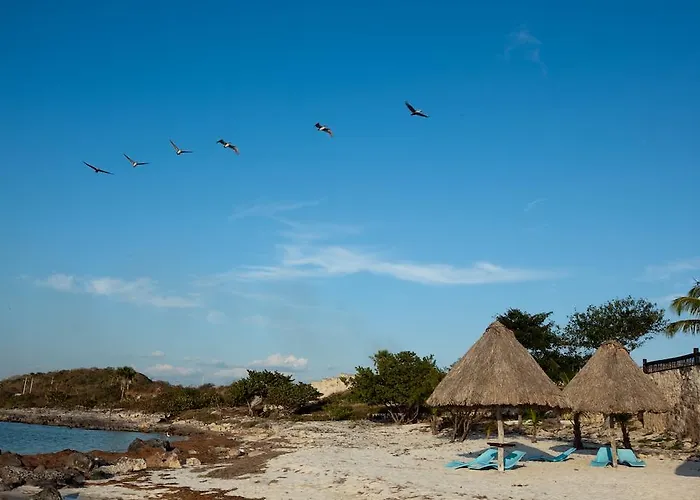 Hotel Tucan Siho Playa