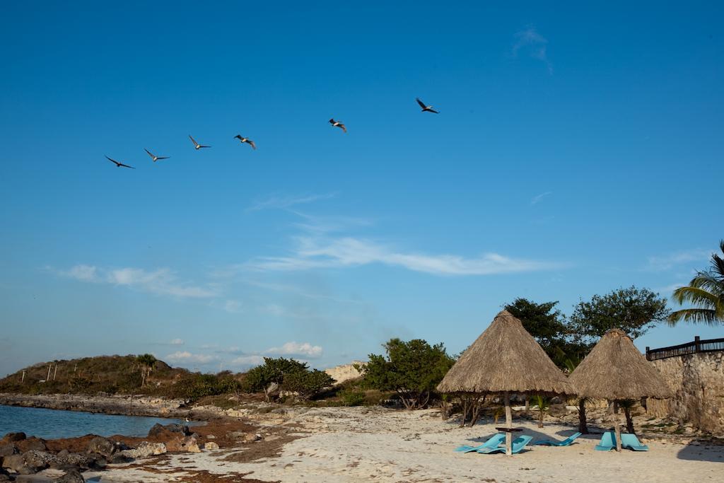 Tucan Siho Playa Hotel 4*