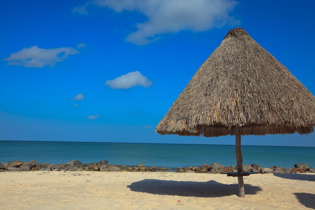 Hotel Tucan Siho Playa Seybaplaya